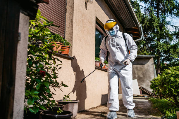 Best Affordable Pest Control Services  in Bally, PA