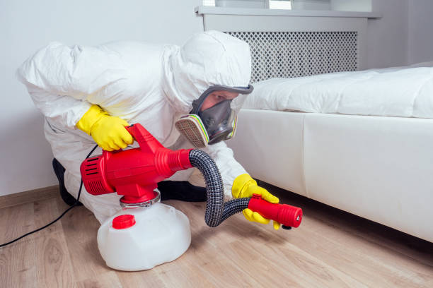 Best Bed Bug Extermination  in Bally, PA