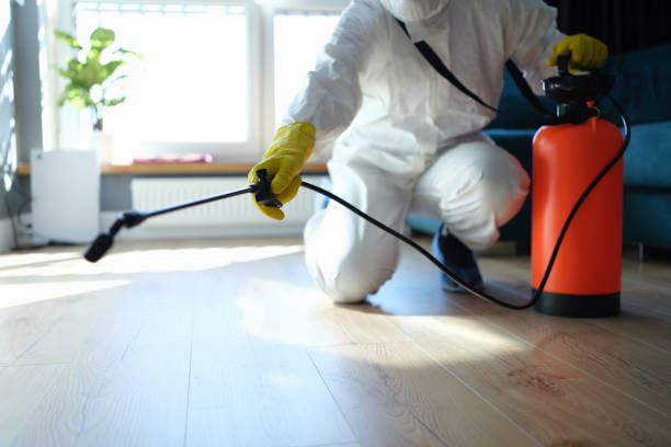 Best Pest Control for Homes  in Bally, PA