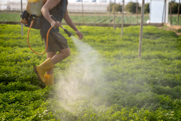 Best Best Pest Control Companies  in Bally, PA