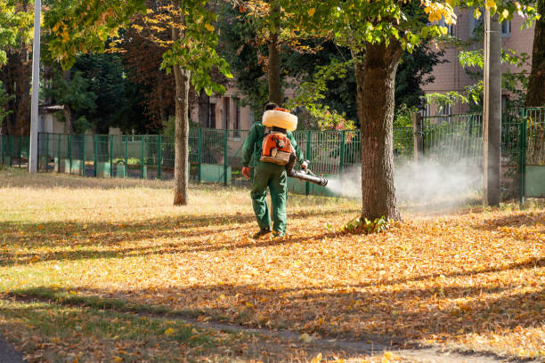 Best Pest Removal Services  in Bally, PA