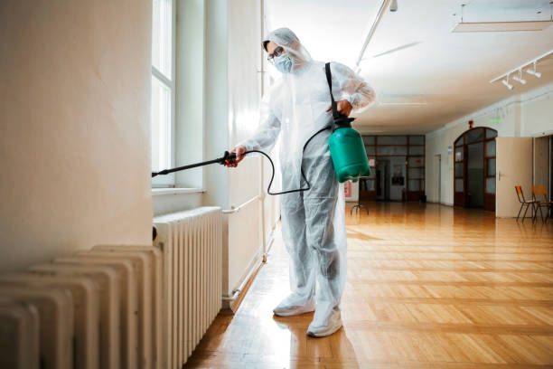 Best Wasp Removal Services  in Bally, PA