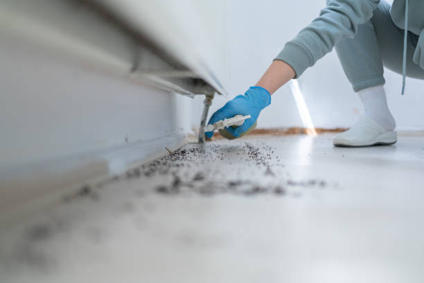 Best Pest Control Cost  in Bally, PA